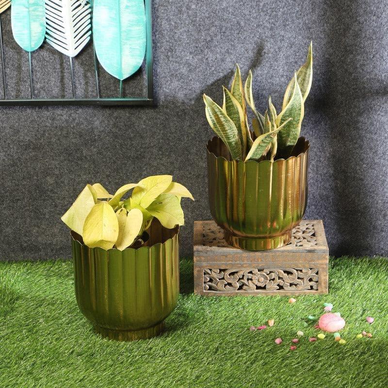 Buy Chinae Cora Planter - Set Of Two Pots & Planters from Vaaree