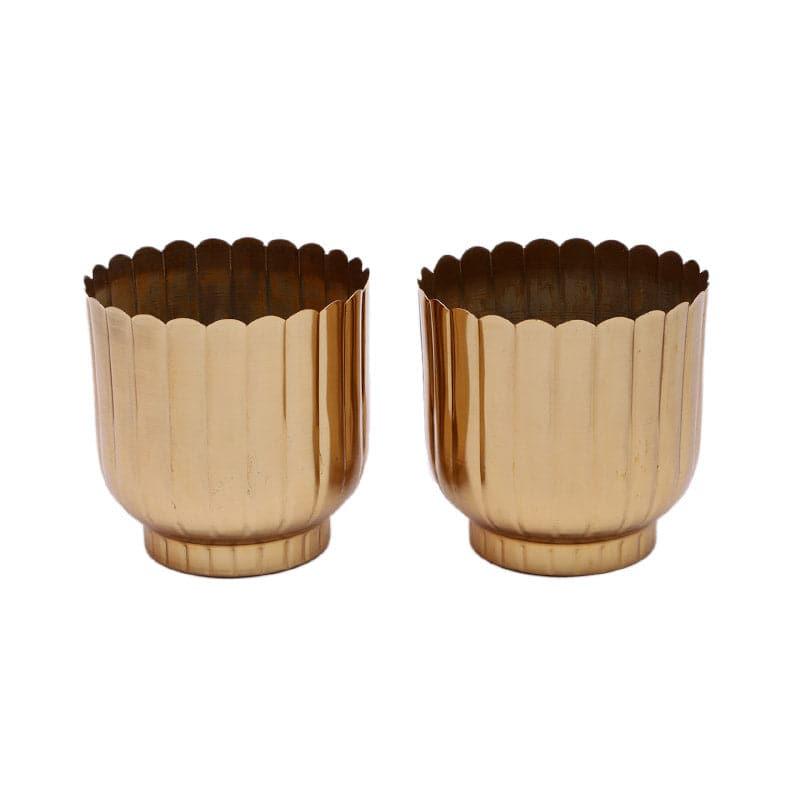 Buy Chinae Cora Planter - Set Of Two Pots & Planters from Vaaree