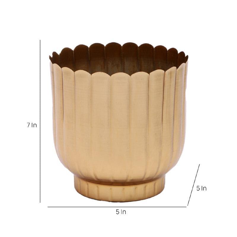 Buy Chinae Cora Planter - Set Of Two Pots & Planters from Vaaree