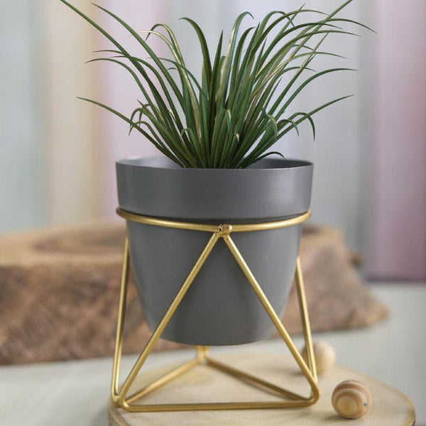 Buy Clinta Glam Planter Pots & Planters from Vaaree