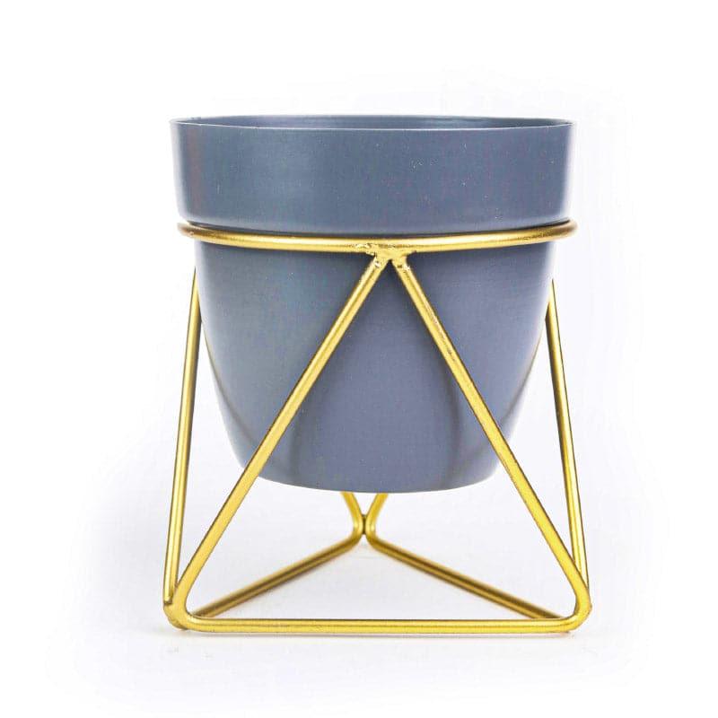 Buy Clinta Glam Planter Pots & Planters from Vaaree