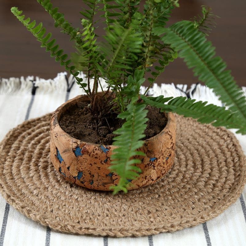 Buy Coastal Cork Planter Pots & Planters from Vaaree