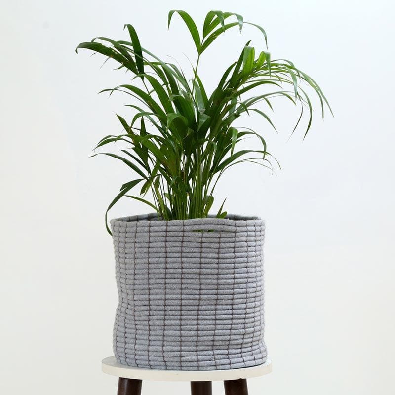 Buy Coastal Escape Cotton Planter Pots & Planters from Vaaree