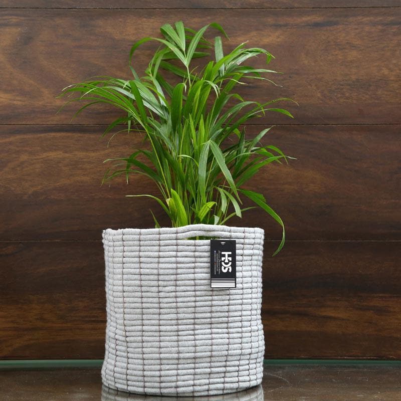 Buy Coastal Escape Cotton Planter Pots & Planters from Vaaree