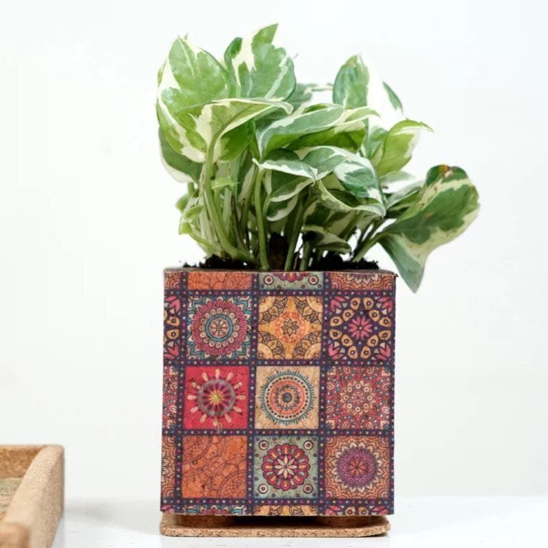 Buy Corklandia Planter Pots & Planters from Vaaree