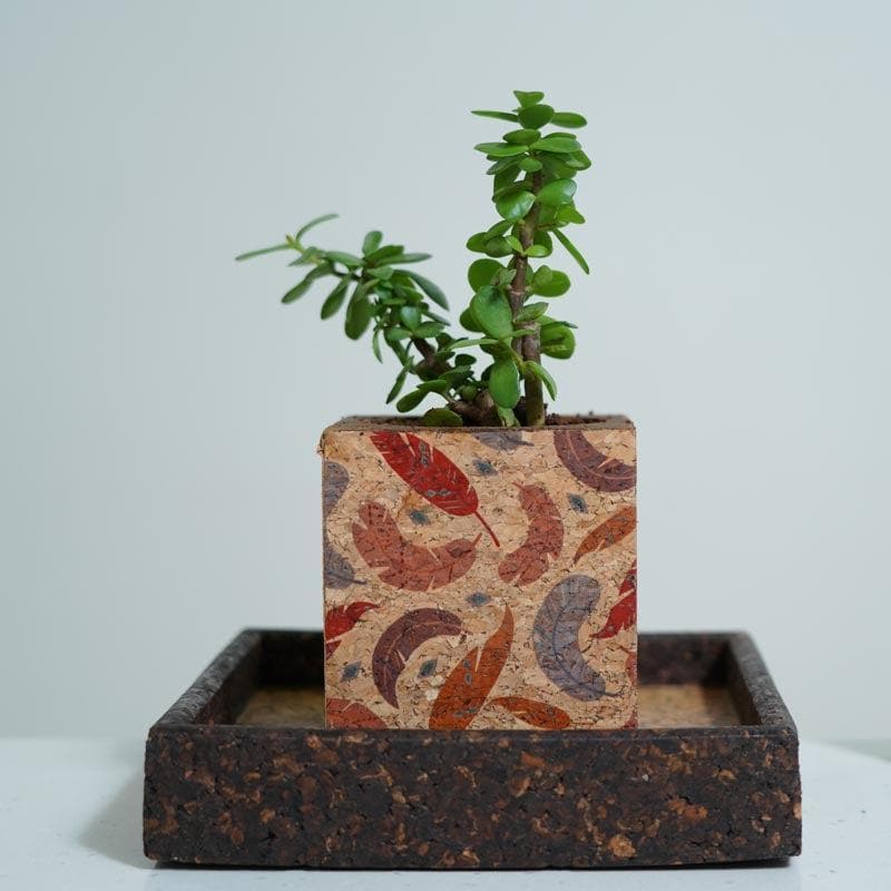 Buy Corky Zen Planter Pots & Planters from Vaaree