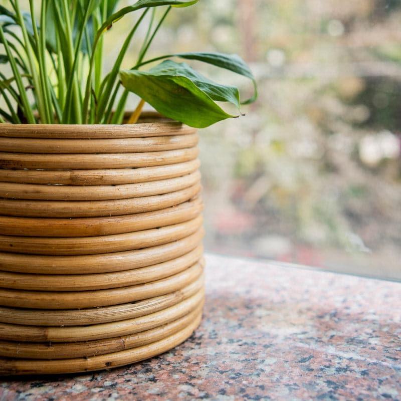 Buy Cortez Coiled Planter Pots & Planters from Vaaree