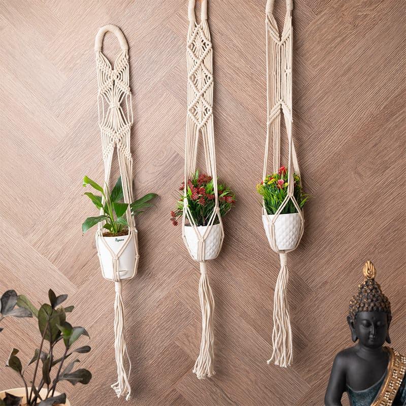 Buy Cosette Macrame Planter - Set Of Three Pots & Planters from Vaaree