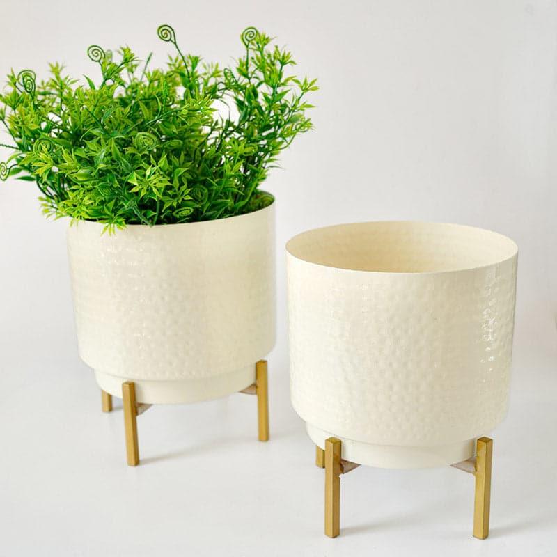 Buy Creta Metal Planter - Set Of Two Pots & Planters from Vaaree