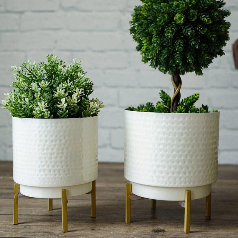 Buy Creta Metal Planter - Set Of Two Pots & Planters from Vaaree