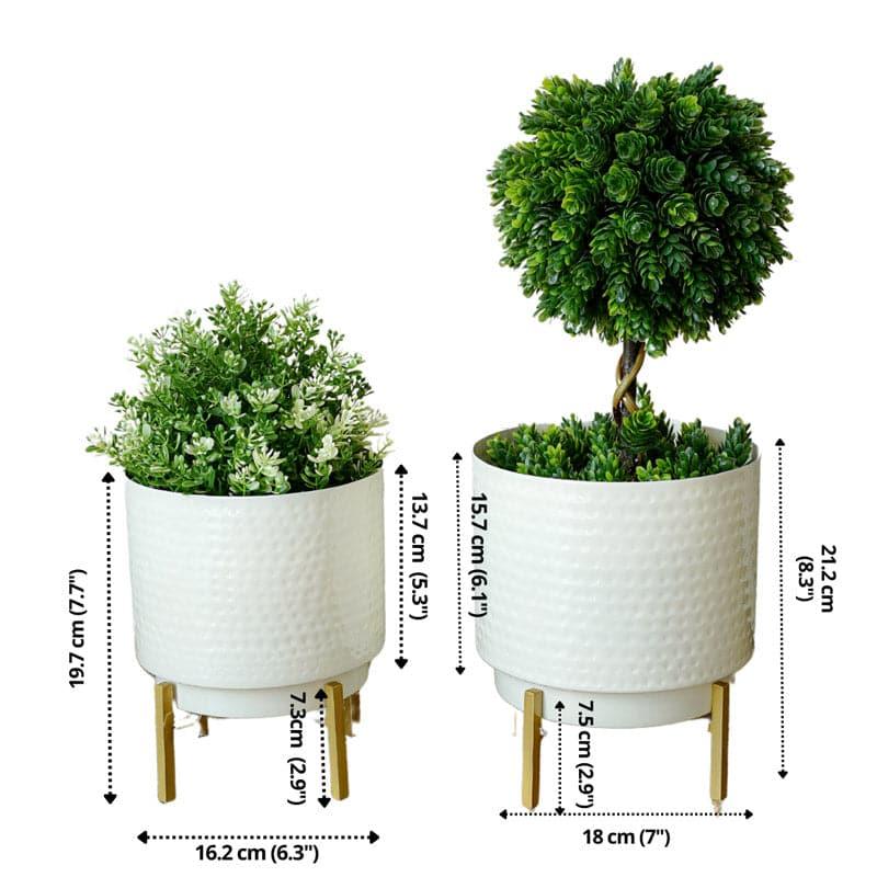 Buy Creta Metal Planter - Set Of Two Pots & Planters from Vaaree