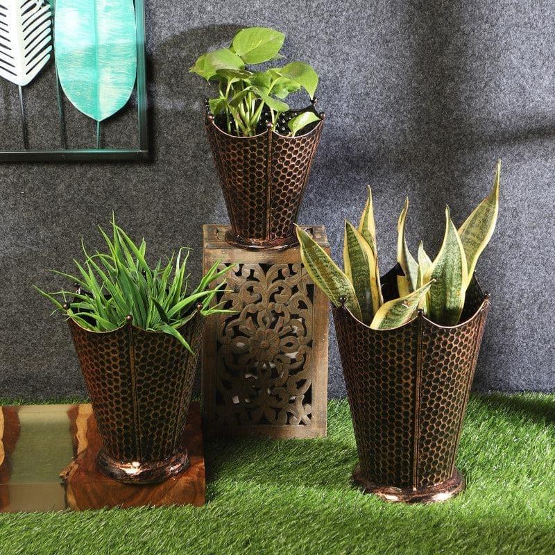 Buy Crown Cast Planter (Copper) - Set Of Three Pots & Planters from Vaaree