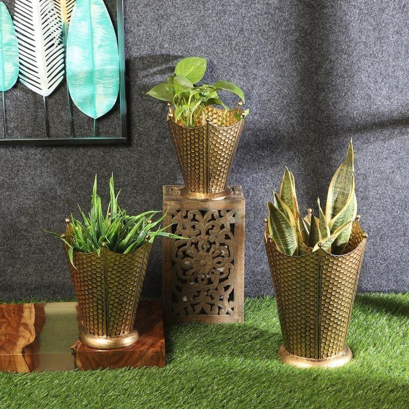 Buy Crown Cast Planter (Gold) - Set Of Three Pots & Planters from Vaaree