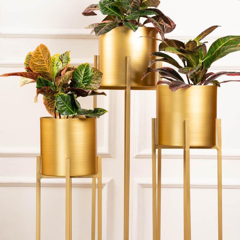 Buy Cyra Golden Metal Planters - Set Of Three Pots & Planters from Vaaree