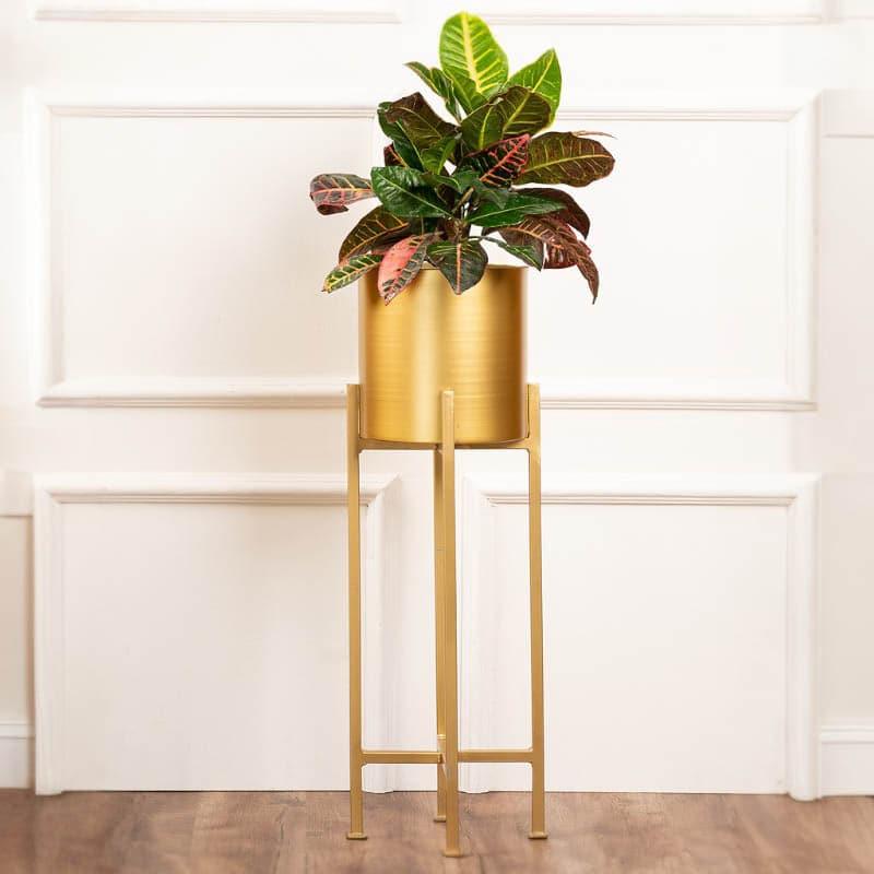 Buy Cyra Golden Metal Planters - Set Of Three Pots & Planters from Vaaree