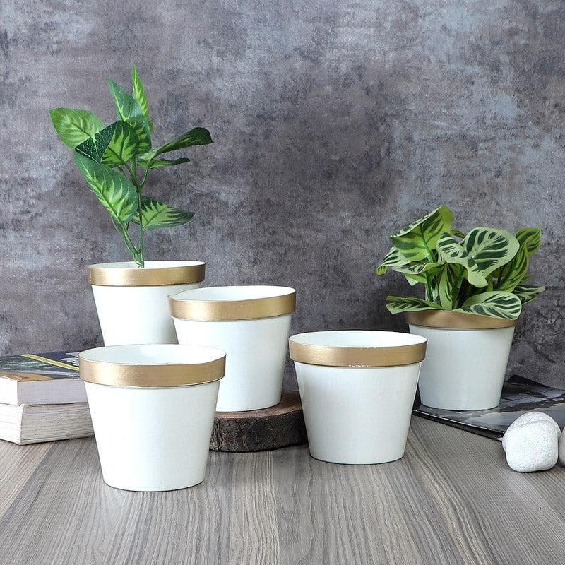 Buy Darla Dose Planter - Set Of Five Pots & Planters from Vaaree