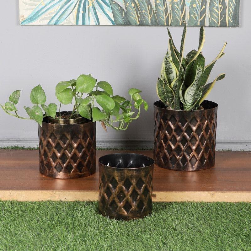 Buy Diamo Hammered Planter - Set Of Three Pots & Planters from Vaaree