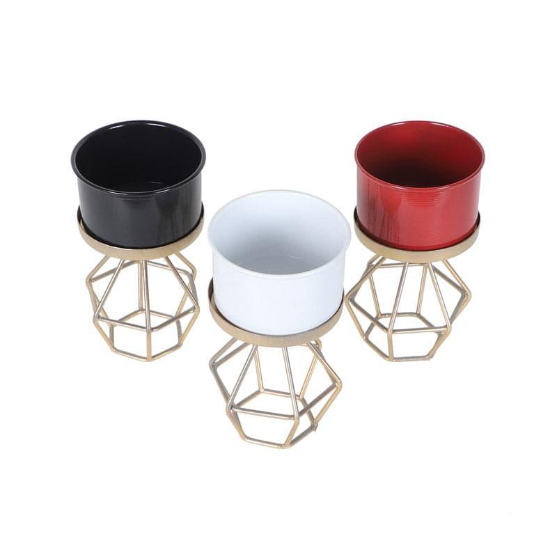 Buy Diamond Ring Planter - Set Of Three Pots & Planters from Vaaree