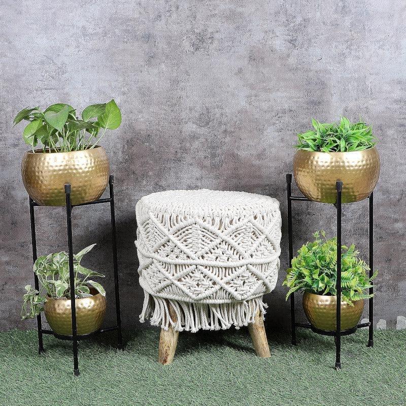 Buy Double Globola Planter - Set Of Two Pots & Planters from Vaaree