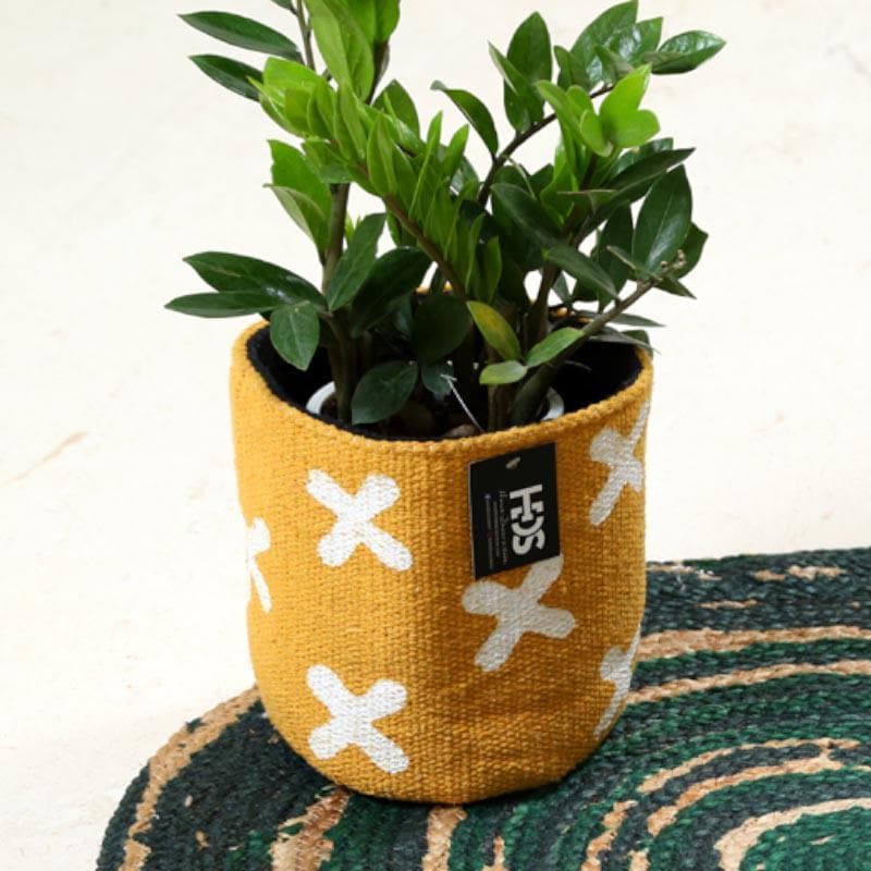 Buy Dreamcatcher Delight Cotton Planter Pots & Planters from Vaaree