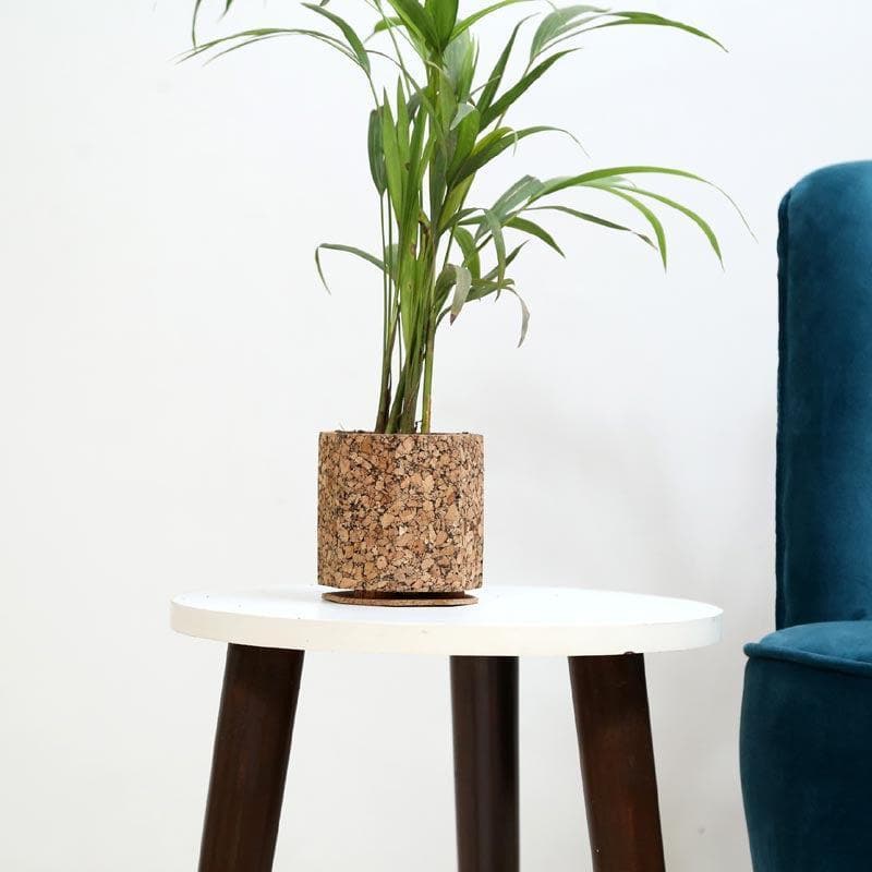 Buy Earthy Haven Planter Pots & Planters from Vaaree