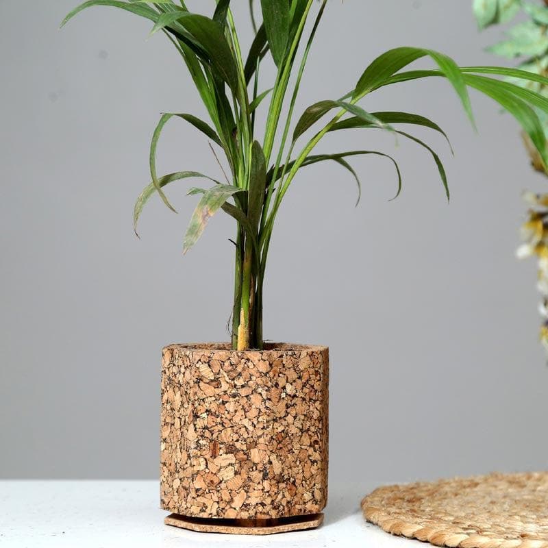 Buy Earthy Haven Planter Pots & Planters from Vaaree