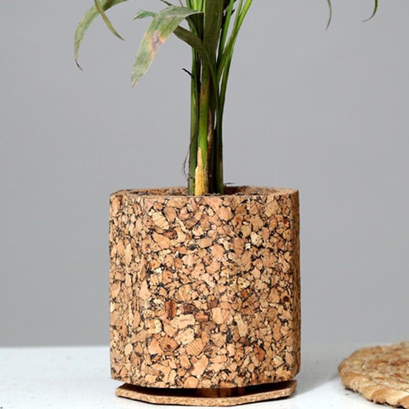 Buy Earthy Haven Planter Pots & Planters from Vaaree