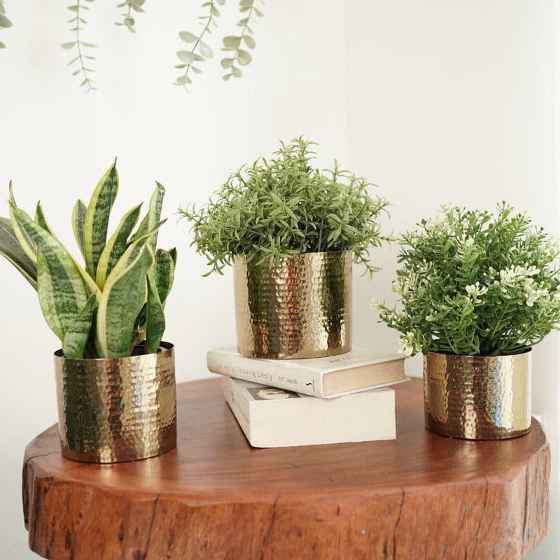 Buy Eliza Metal Planter - Set Of Three Pots & Planters from Vaaree