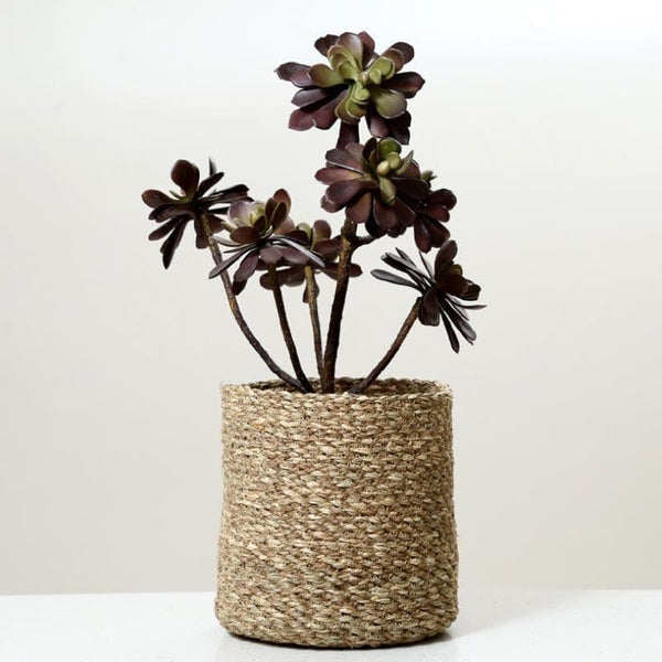 Buy Enchanted Garden Jute Planter Pots & Planters from Vaaree