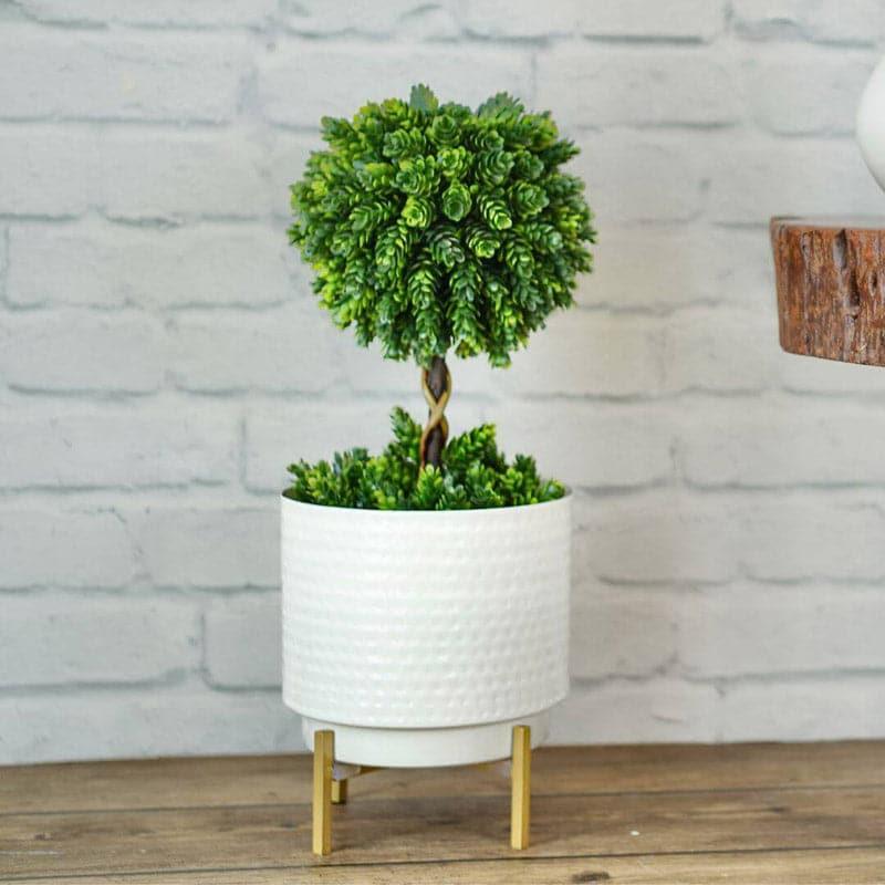 Buy Ettta Troda Planter Pots & Planters from Vaaree