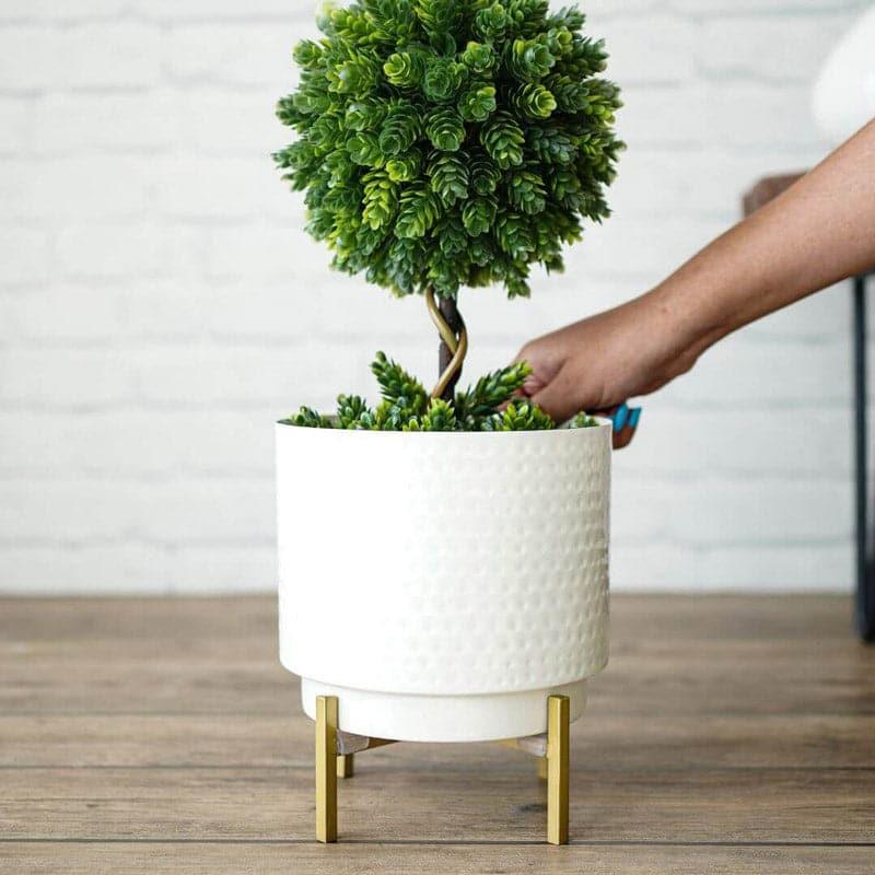 Buy Ettta Troda Planter Pots & Planters from Vaaree