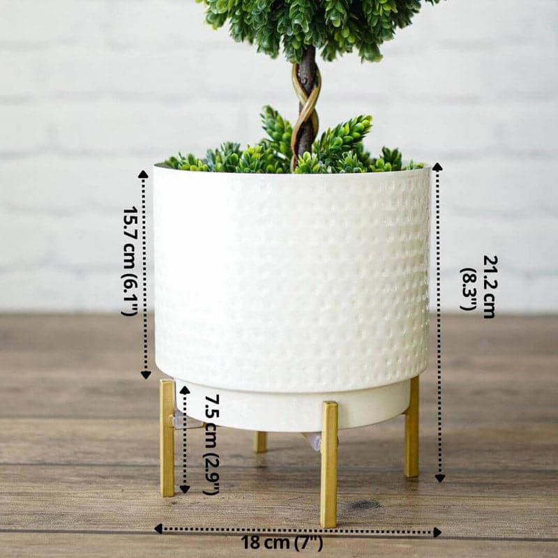 Buy Ettta Troda Planter Pots & Planters from Vaaree