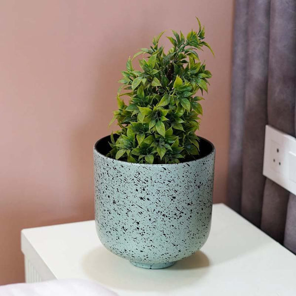 Buy Freckles Planter Pots & Planters from Vaaree