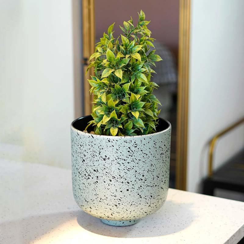 Buy Freckles Planter Pots & Planters from Vaaree