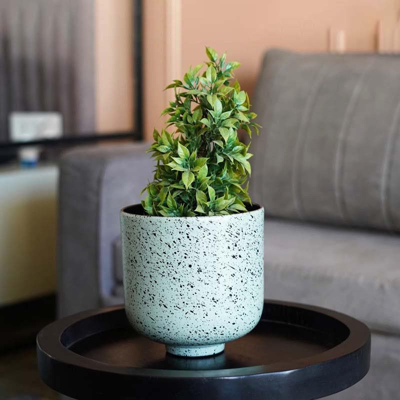 Buy Freckles Planter Pots & Planters from Vaaree