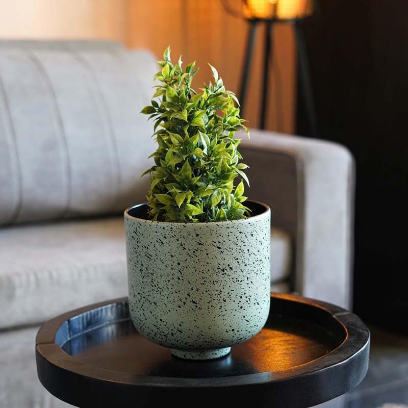 Buy Freckles Planter Pots & Planters from Vaaree