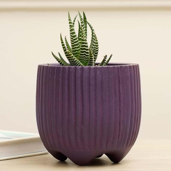 Buy Pots & Planters - French Madeleine Planter - Purple at Vaaree online