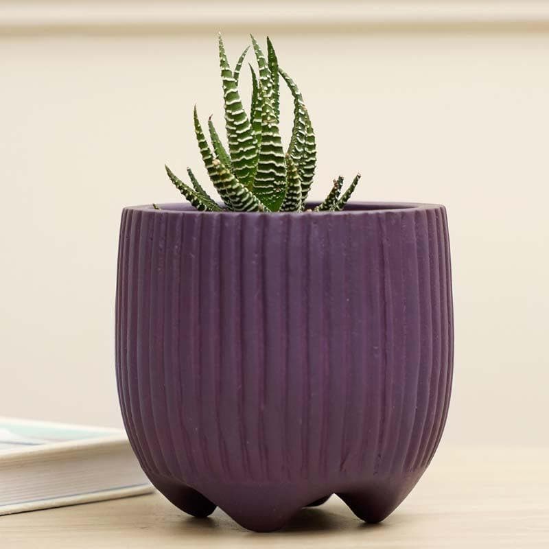 Buy French Madeleine Planter - Purple Pots & Planters from Vaaree