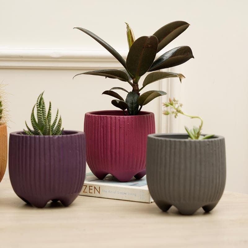 Buy French Madeleine Planters - Set Of Four Pots & Planters from Vaaree