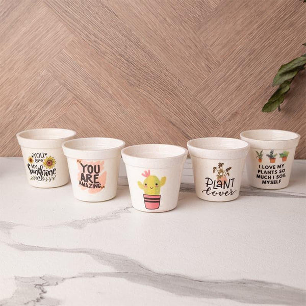 Buy Garca Melamine Pot - Set Of Five Pots & Planters from Vaaree