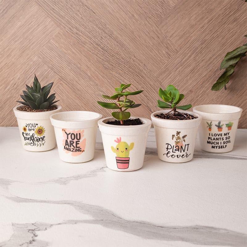 Buy Garca Melamine Pot - Set Of Five Pots & Planters from Vaaree