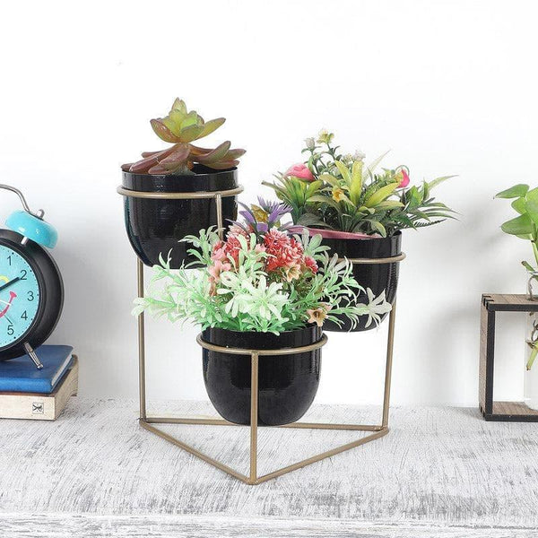 Buy Gingera Jolly Planter - Black Pots & Planters from Vaaree