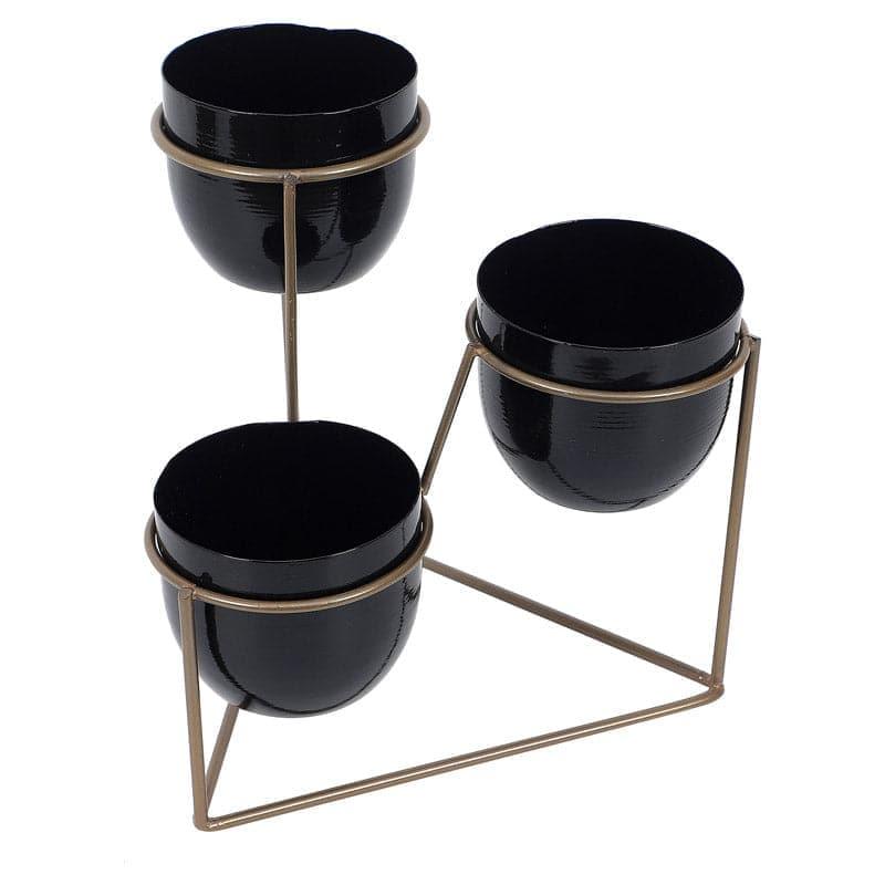 Buy Gingera Jolly Planter - Black Pots & Planters from Vaaree