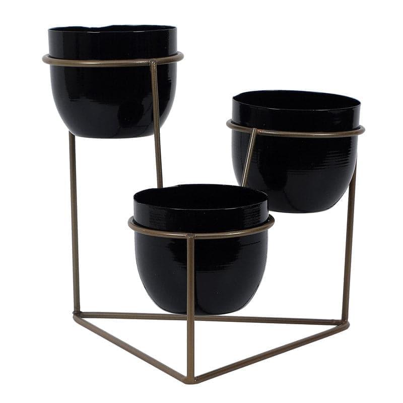 Buy Gingera Jolly Planter - Black Pots & Planters from Vaaree