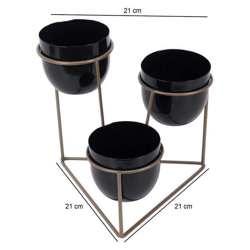 Buy Gingera Jolly Planter - Black Pots & Planters from Vaaree