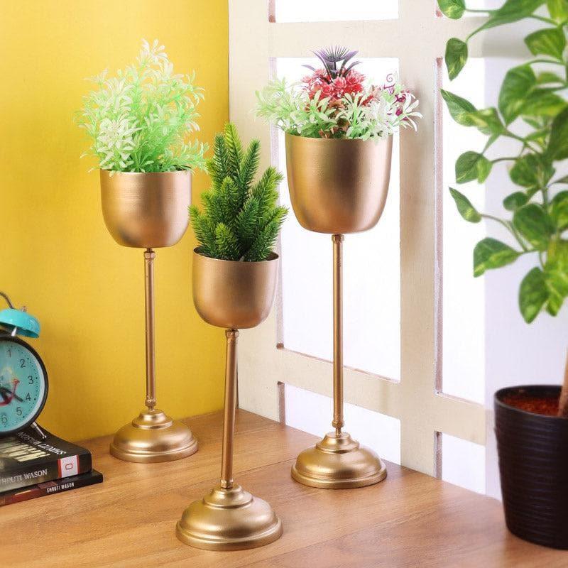 Buy Goblet Gala Planter - Set Of Three Pots & Planters from Vaaree