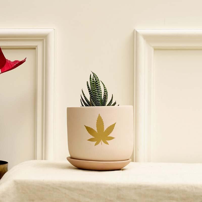 Buy Gold Leaf Planter Pots & Planters from Vaaree