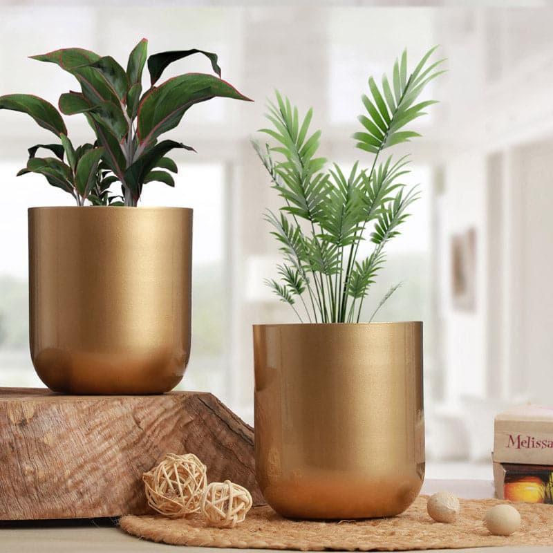 Buy Goldo Glamour Planter - Set Of Two Pots & Planters from Vaaree