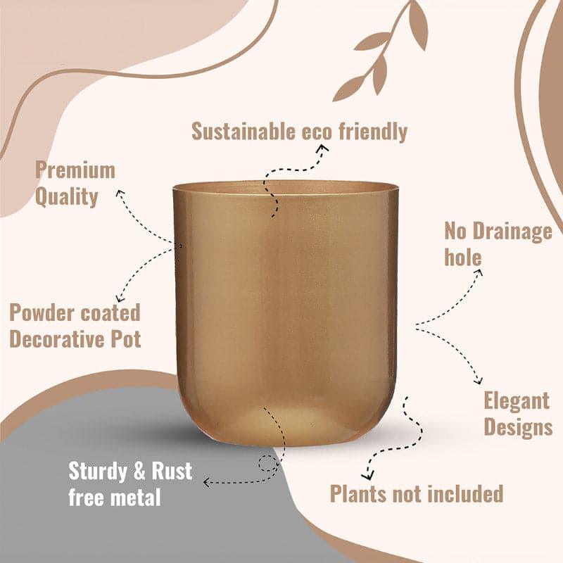 Buy Goldo Glamour Planter - Set Of Two Pots & Planters from Vaaree