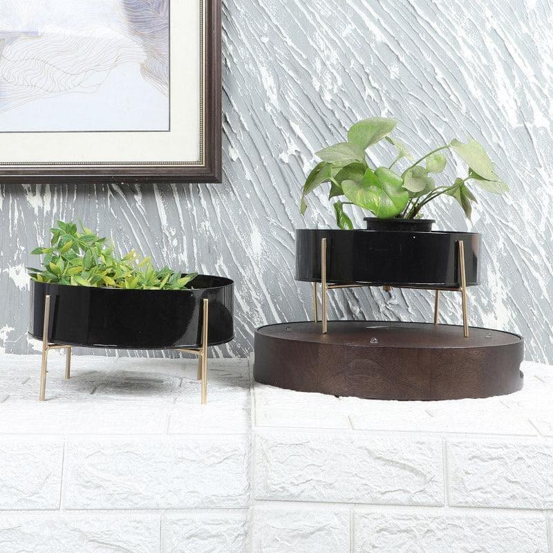 Buy Gouyen Gaya Planter (Black) - Set Of Two Pots & Planters from Vaaree